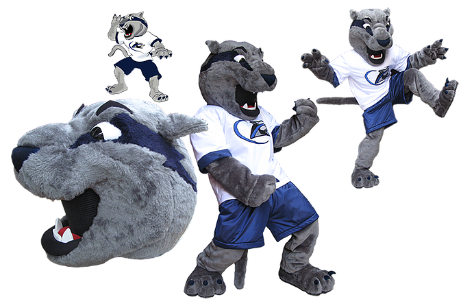 mascot makers in PUNE, mascot makers in CHINA, mascot makers in THAILAND, mascot costume manufacturer in INDIA, mascot costume manufacturer in DELHI, mascot costumes manufacturer in GURGAON