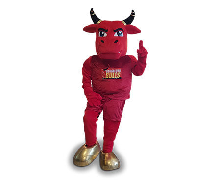 mascot makers in PUNE, mascot makers in CHINA, mascot makers in THAILAND, mascot costume manufacturer in INDIA, mascot costume manufacturer in DELHI, mascot costumes manufacturer in GURGAON